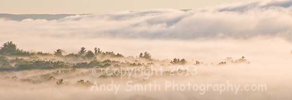 Misty Morning on the Upper Delaware